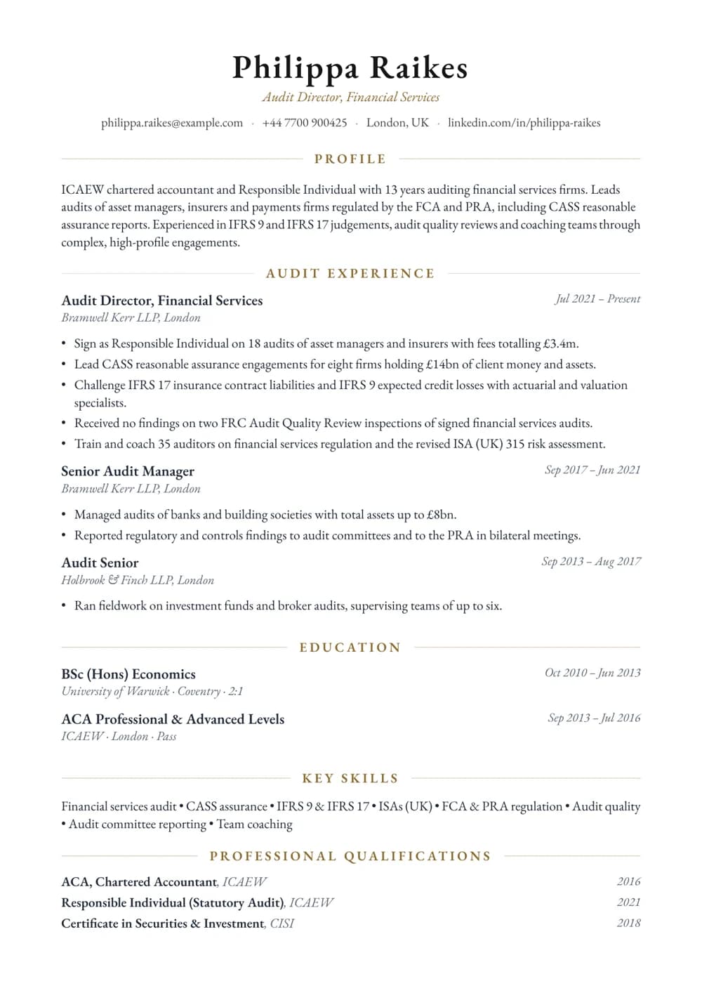 Financial Services Auditor CV template