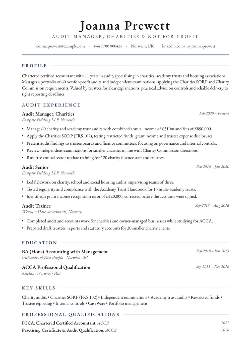 Charity Auditor CV template