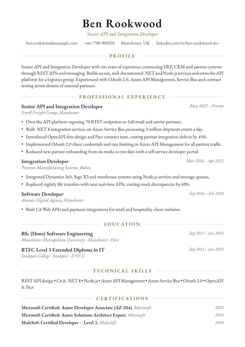 API and Integration Developer CV template