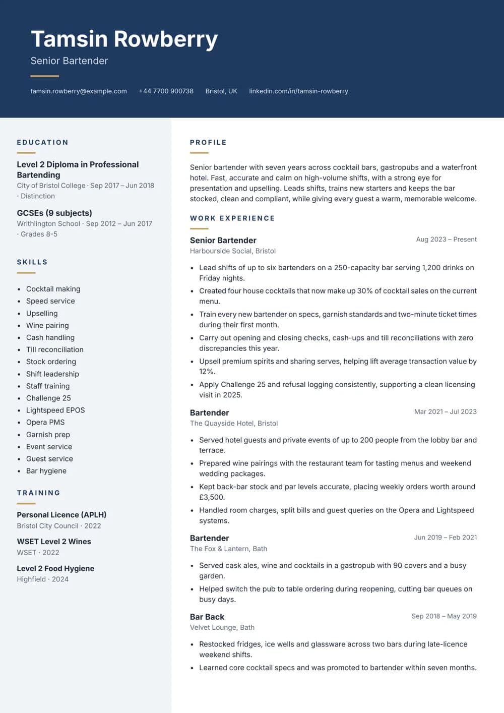 Senior Bartender CV template