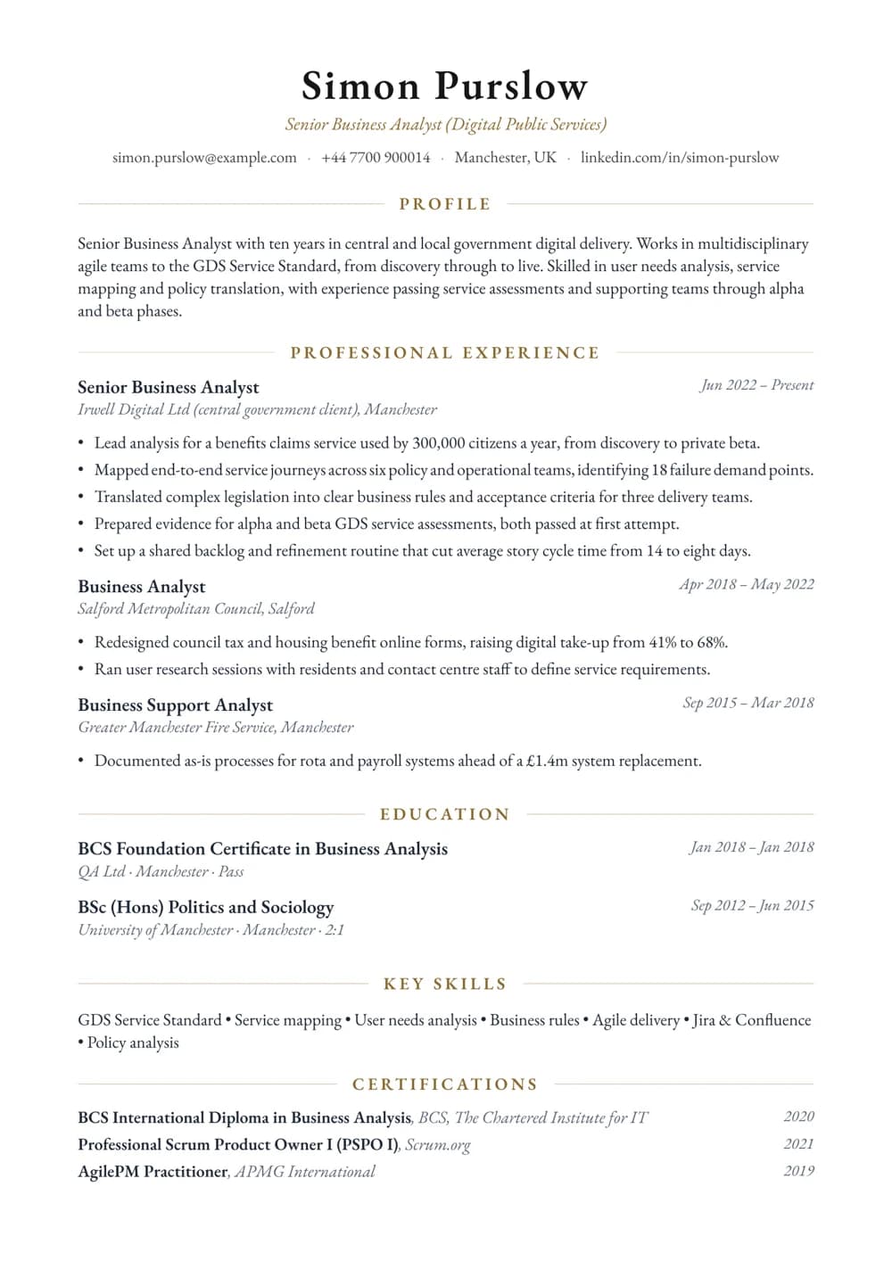 Public Sector Business Analyst CV template
