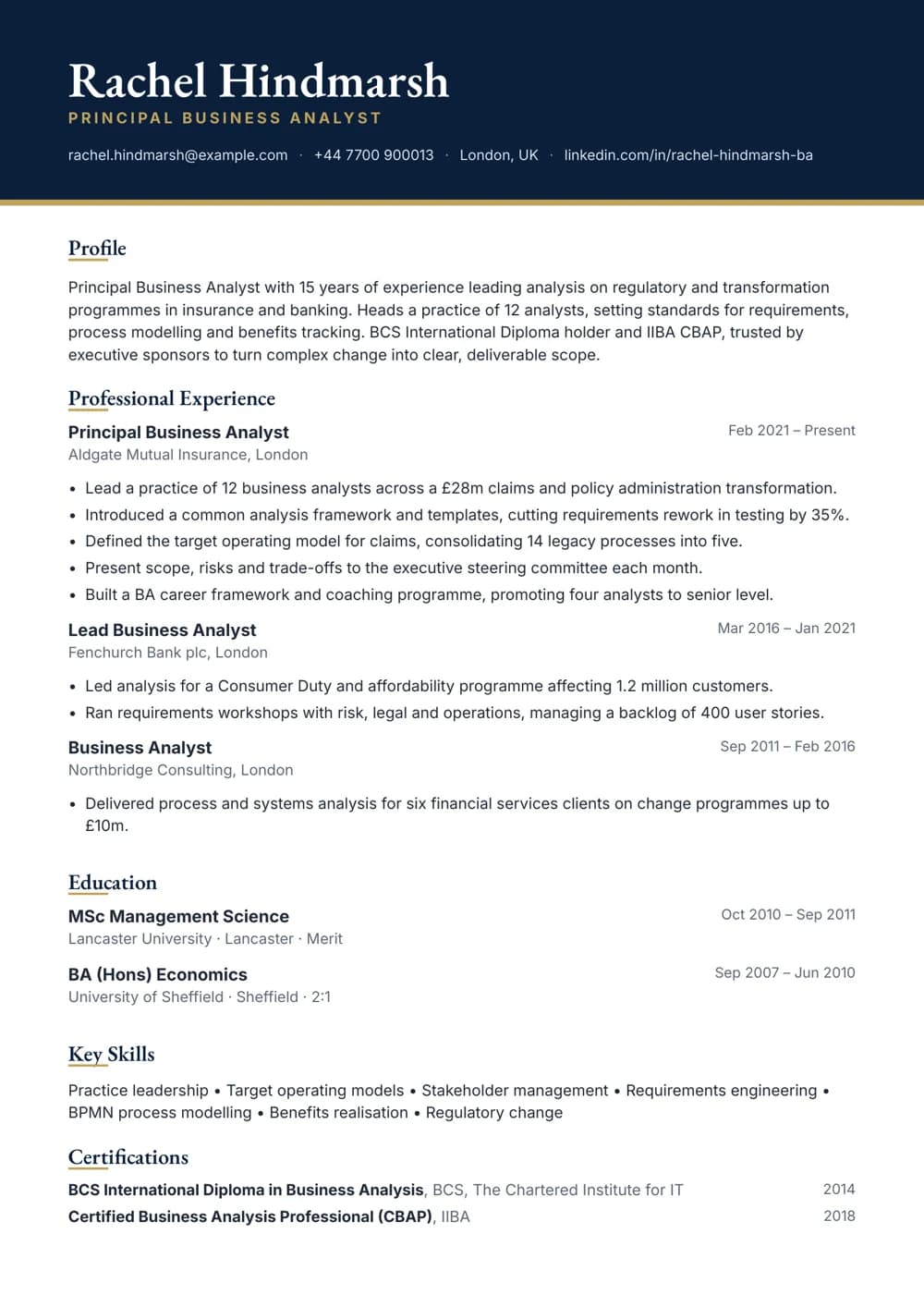 principal business analyst cv template