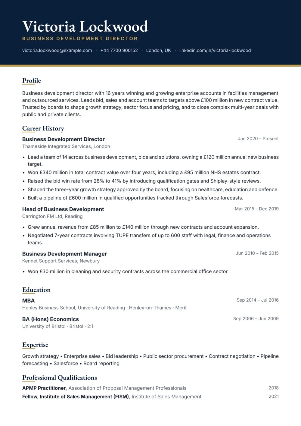 Business Development Director CV template