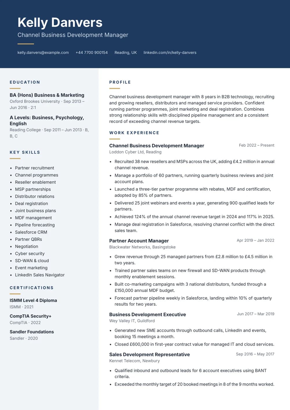 Channel Business Development Manager CV template