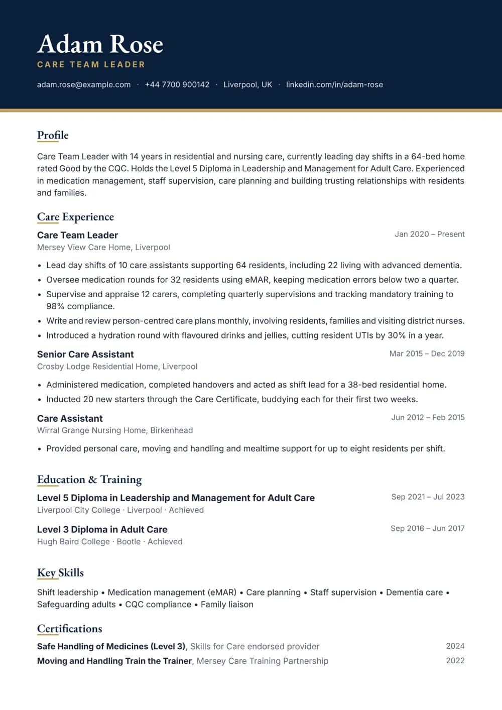 care team leader cv template