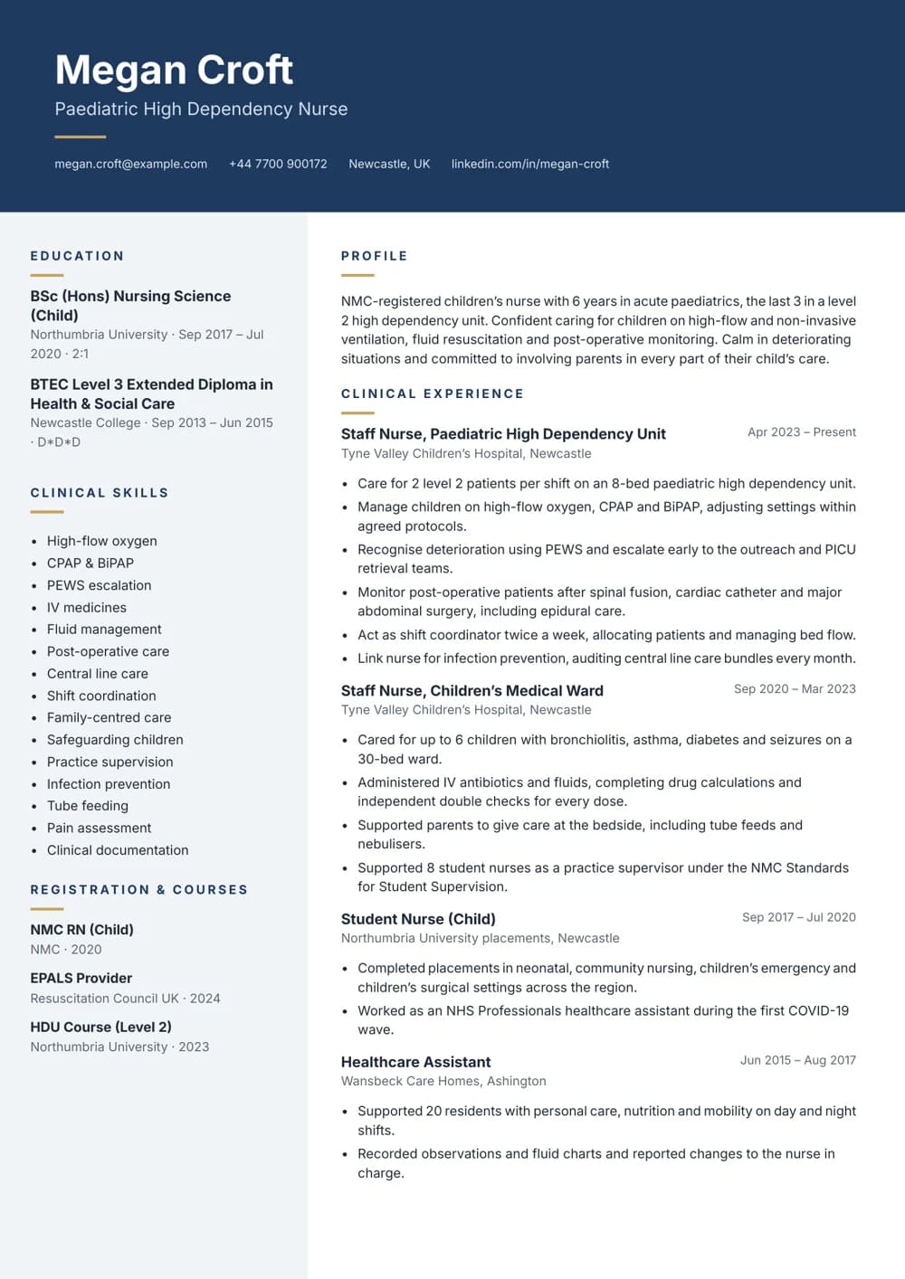 Paediatric High Dependency Nurse CV template