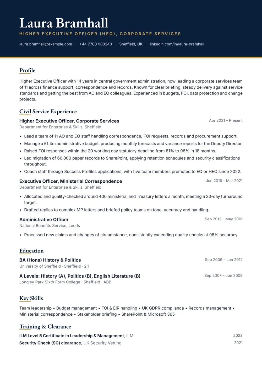 Higher Executive Officer CV template
