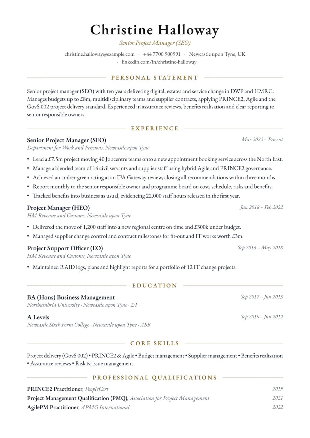 senior project manager (seo) cv template