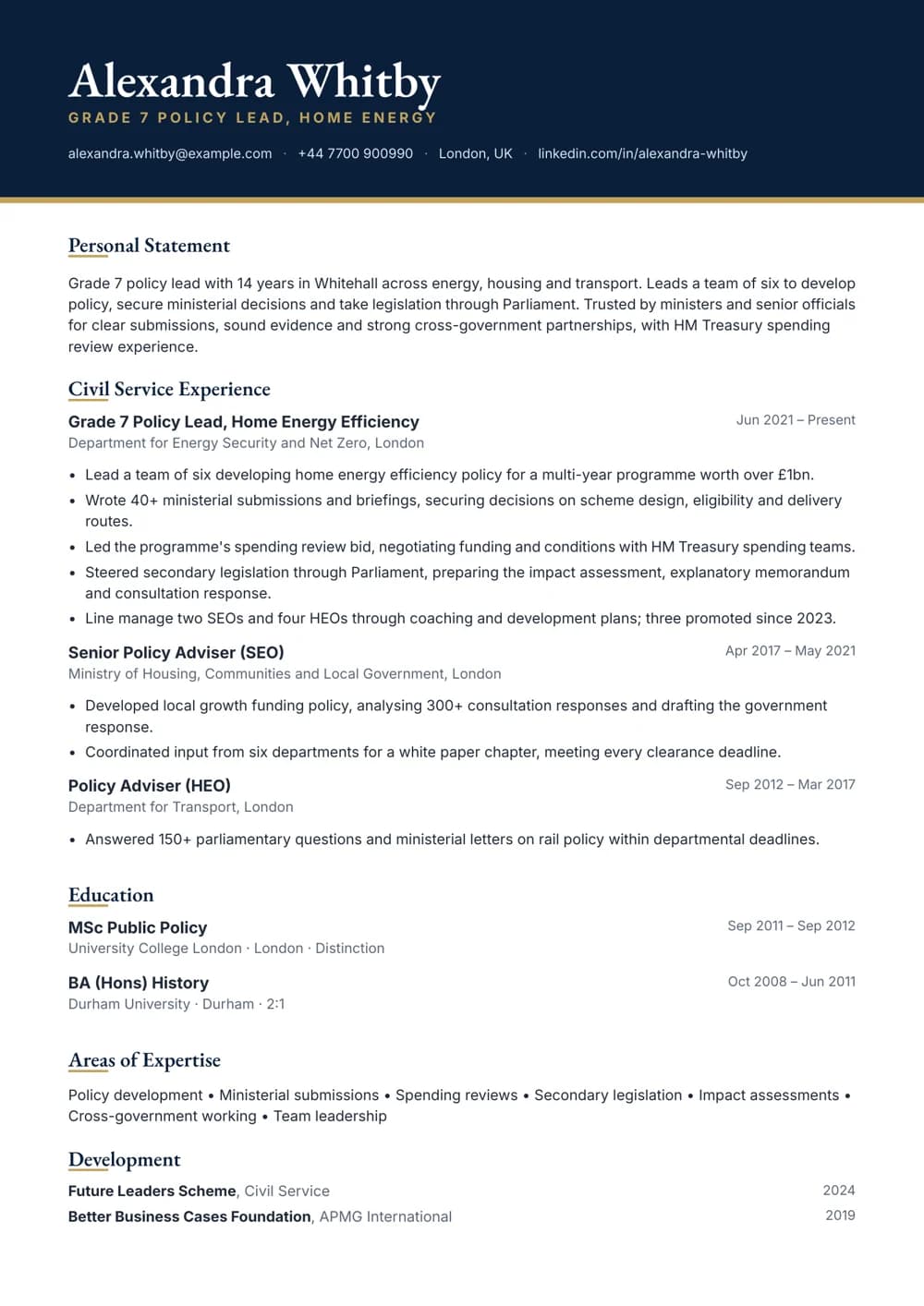 grade 7 policy lead cv template