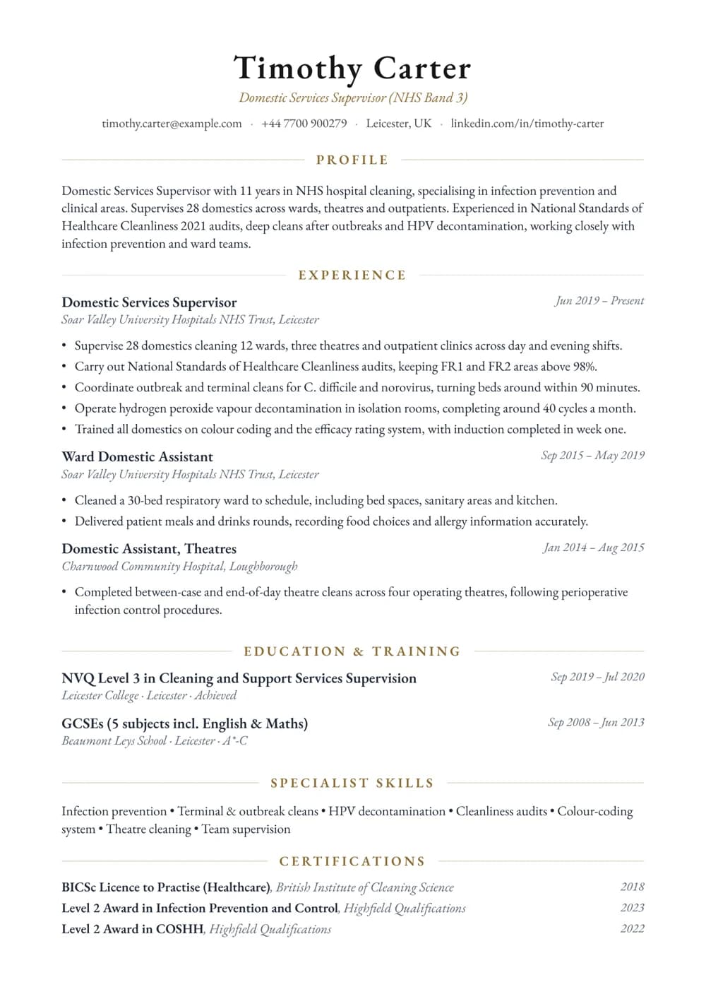 Hospital Domestic Supervisor CV template