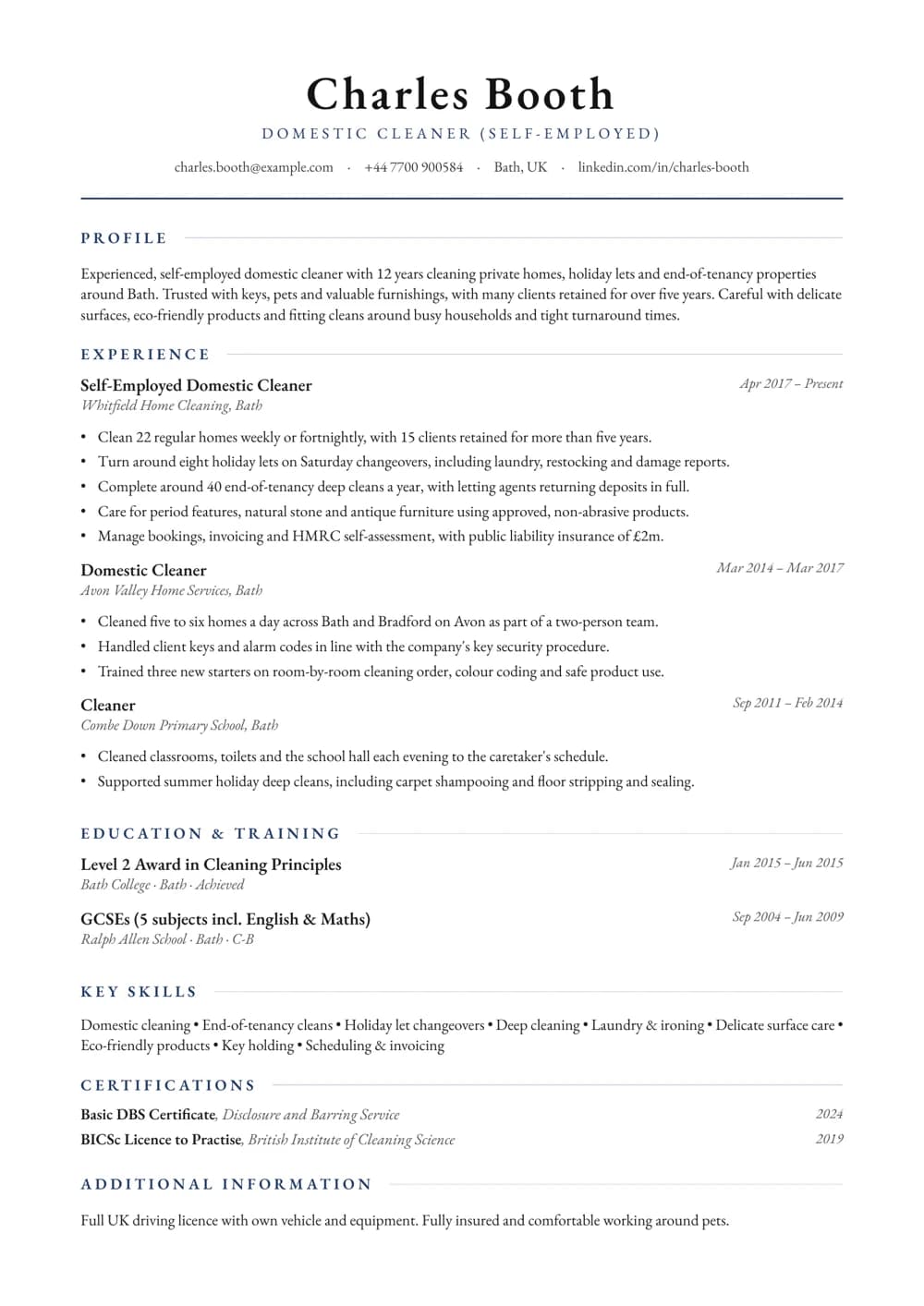 Domestic Cleaner CV template