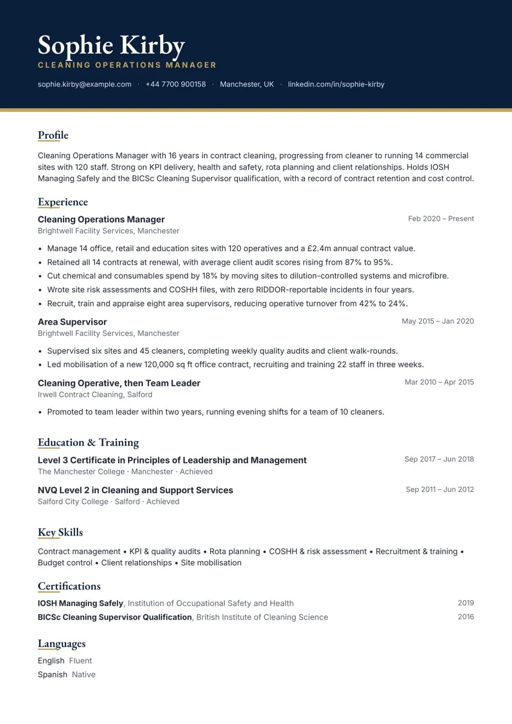 cleaning operations manager cv template