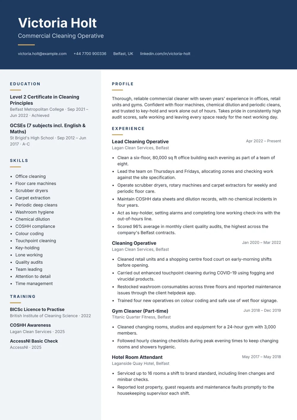 Commercial Cleaner CV template