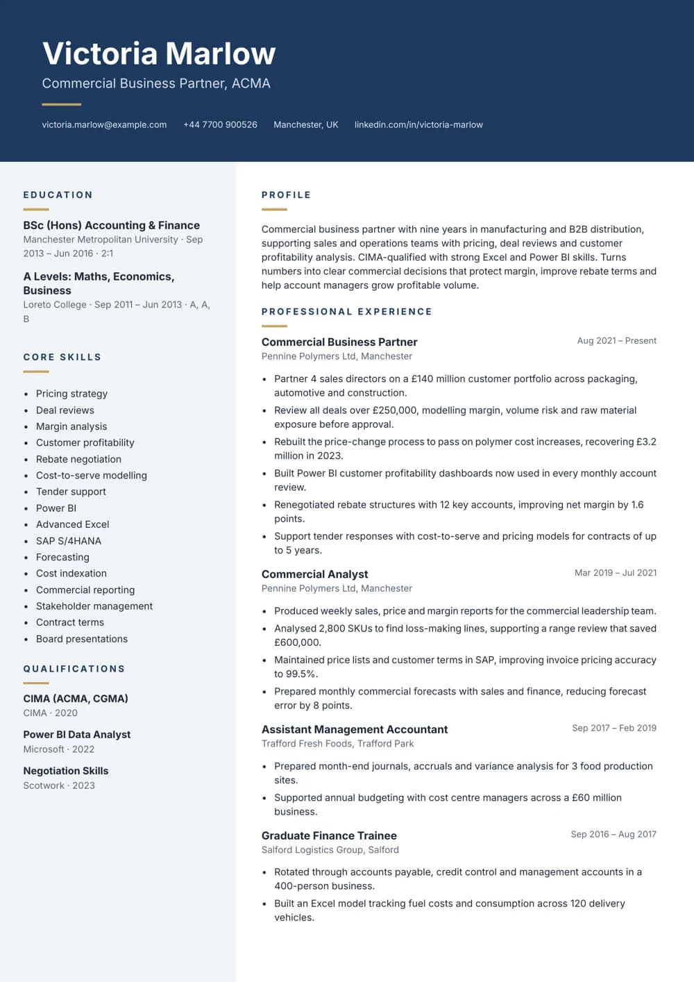 Commercial Business Partner CV template