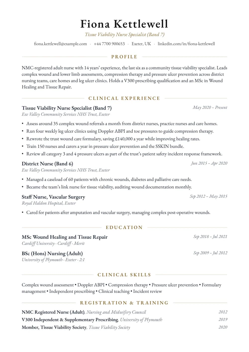Tissue Viability Nurse Specialist CV template