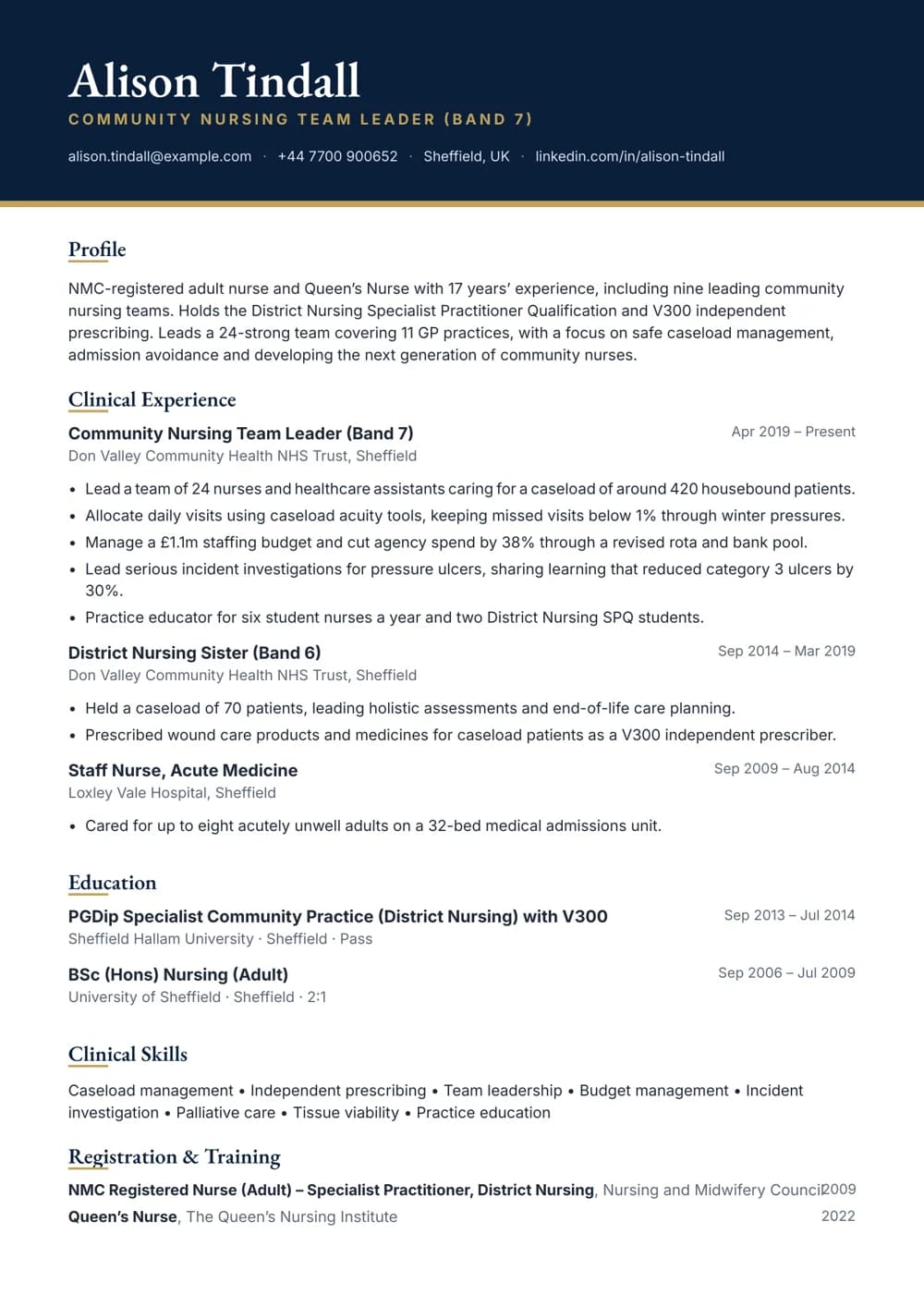 Community Nursing Team Leader CV template