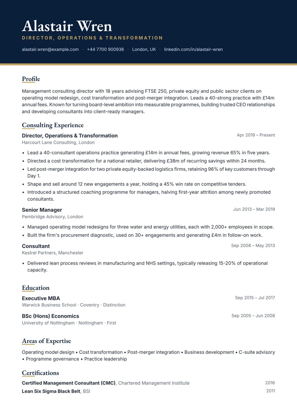 consulting director cv template