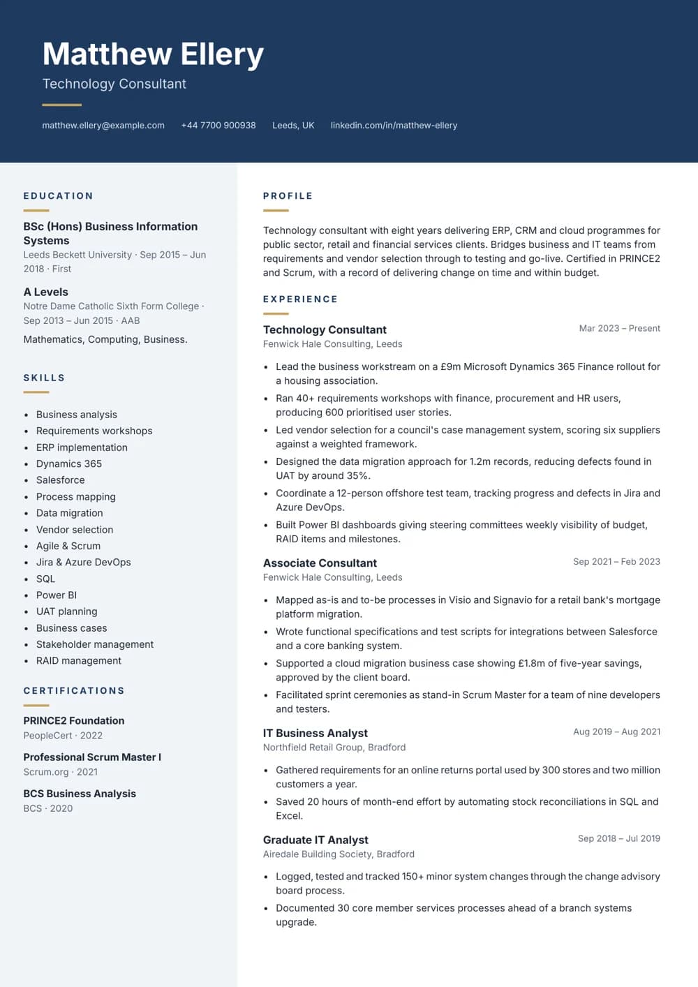 technology consultant cv template