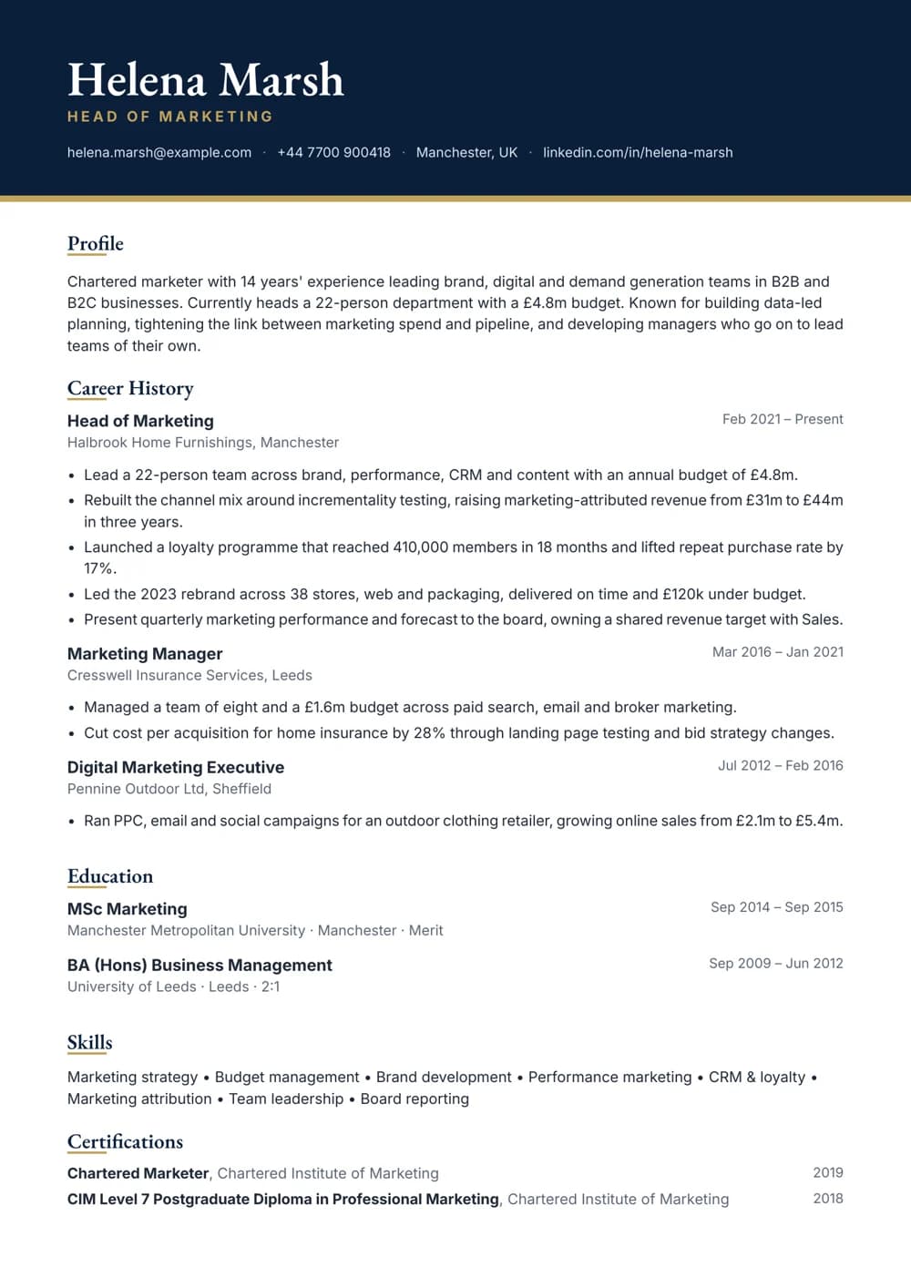 free cv template navy executive