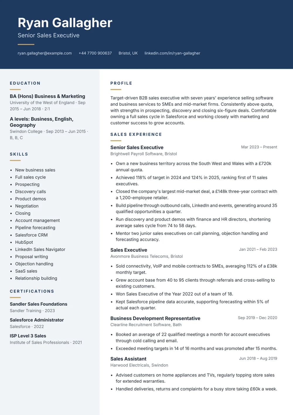 Sales Executive CV template