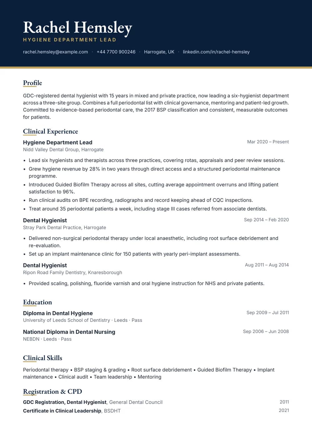 hygiene department lead cv template