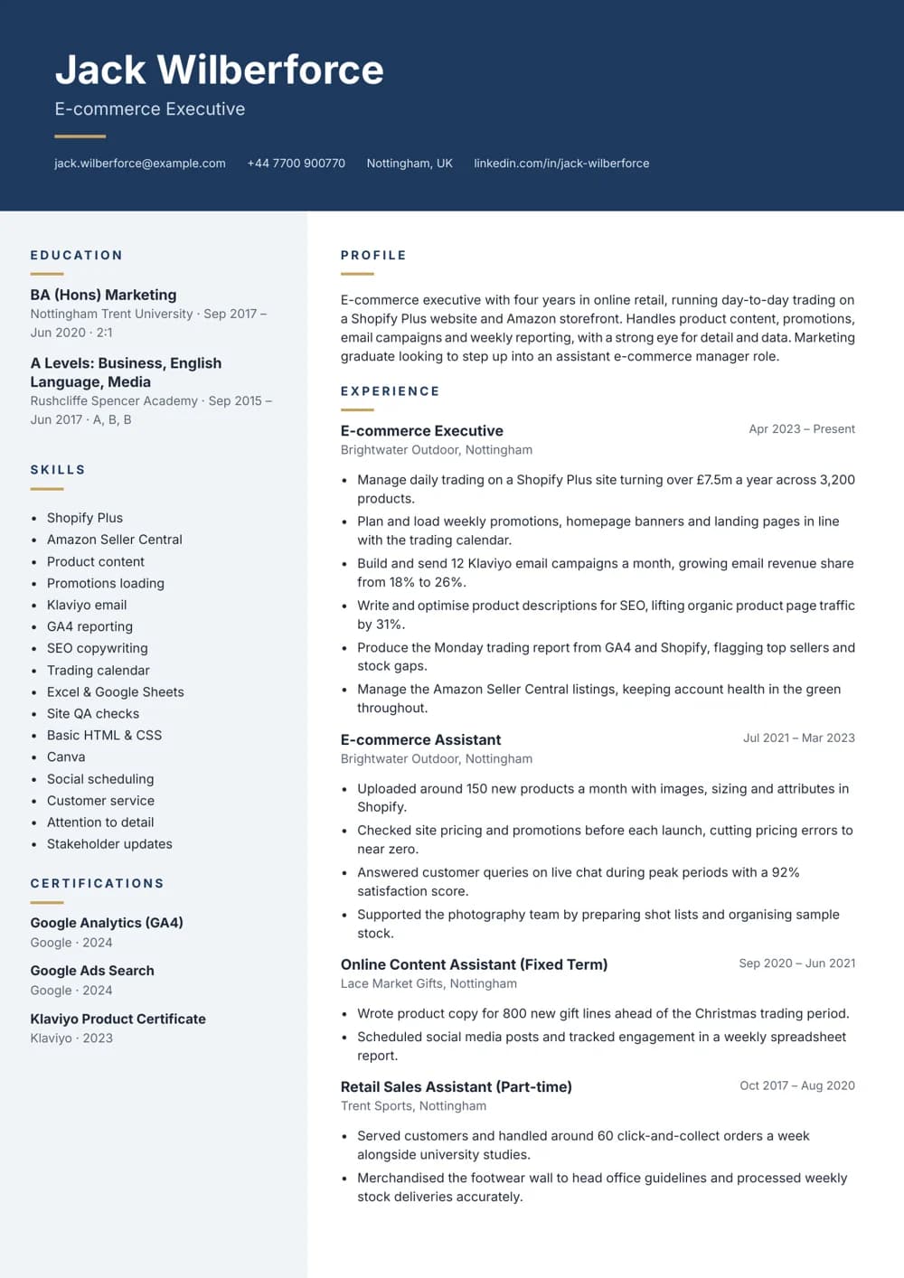 E-commerce Executive CV template