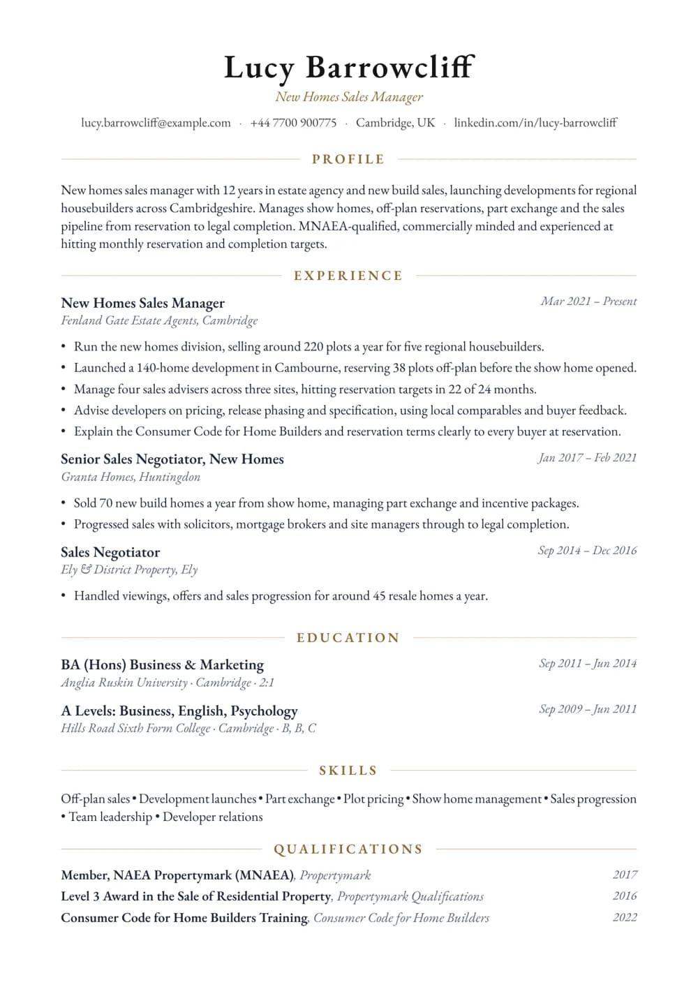 New Homes Sales Manager CV template