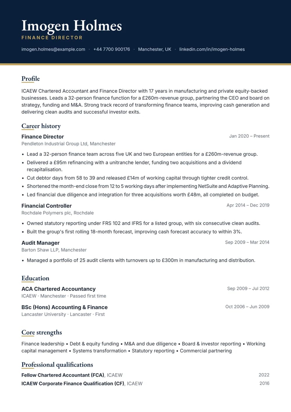 finance director cv template