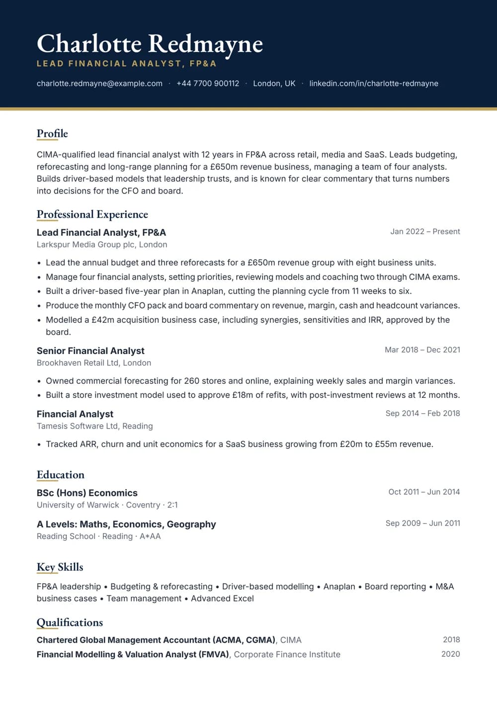 lead financial analyst cv template