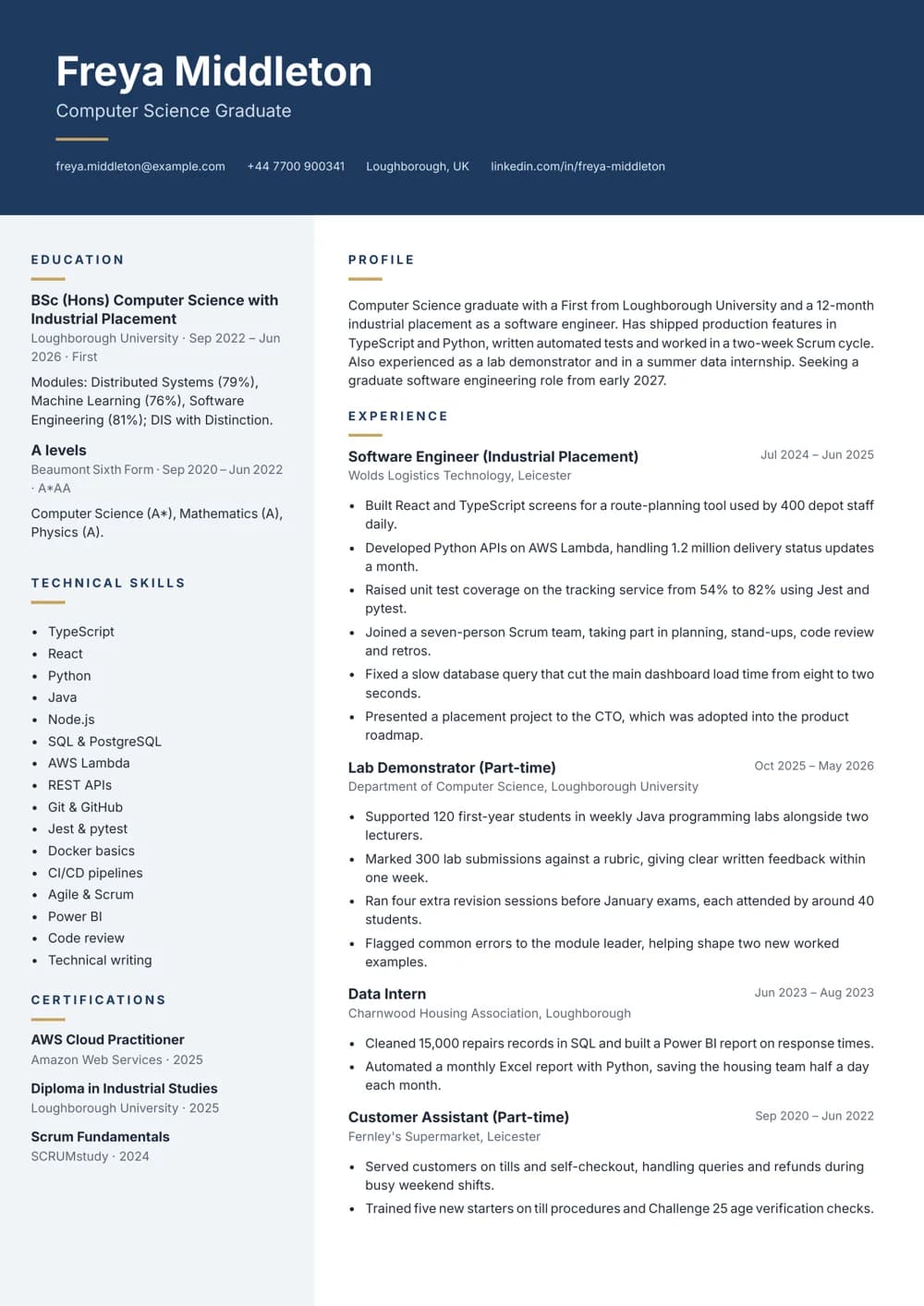Placement Year Graduate CV template