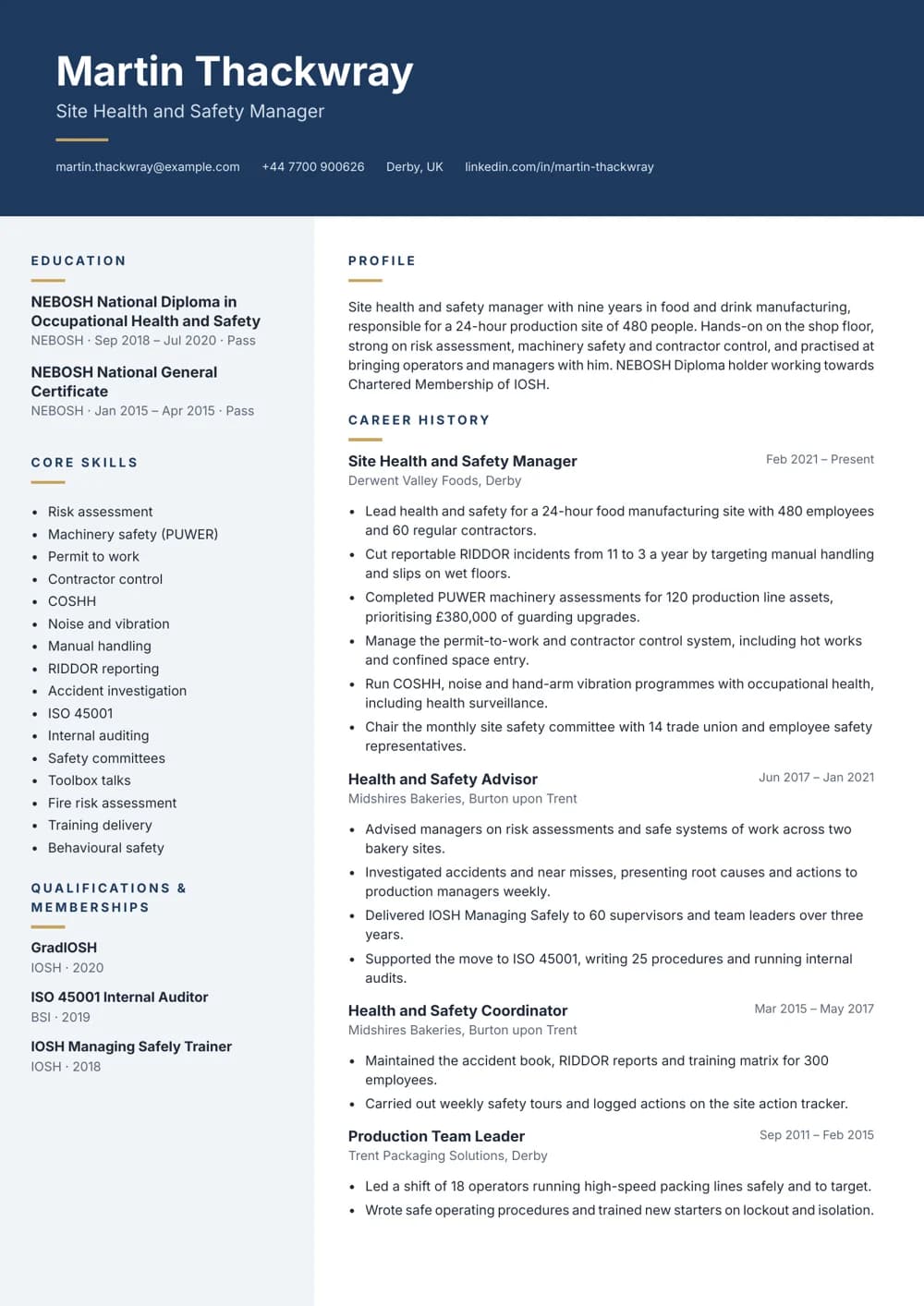 Site Health and Safety Manager CV template