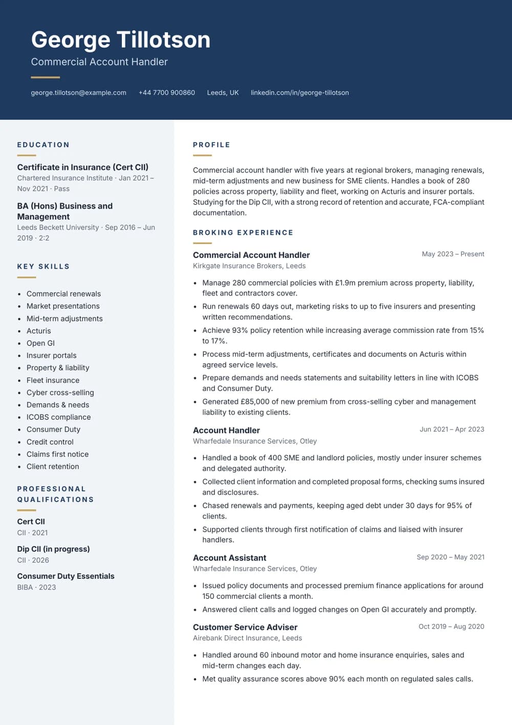 Commercial Account Handler CV template