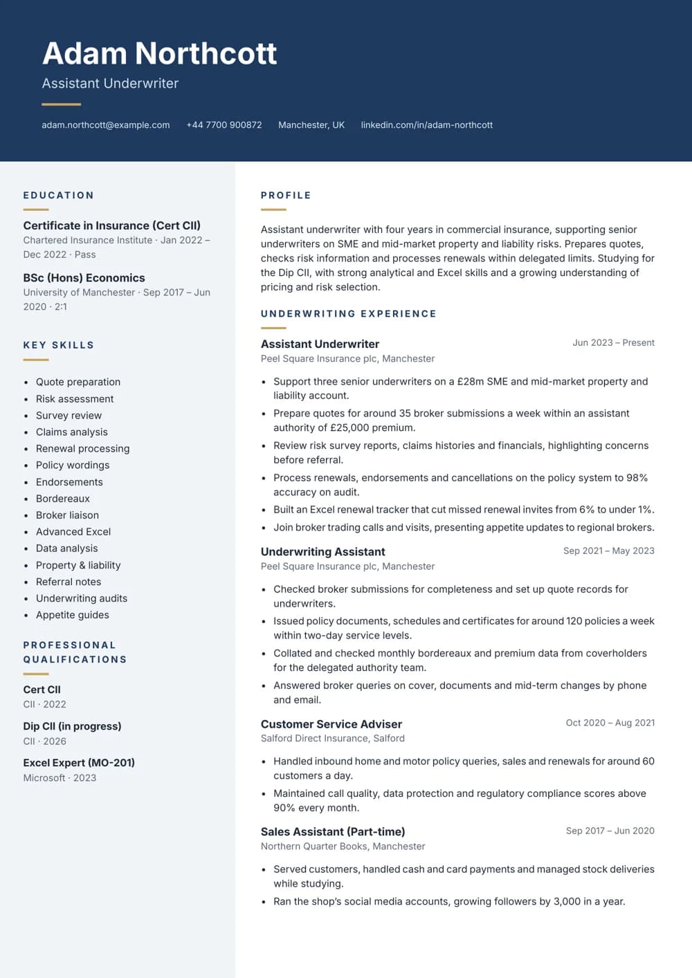 Assistant Underwriter CV template