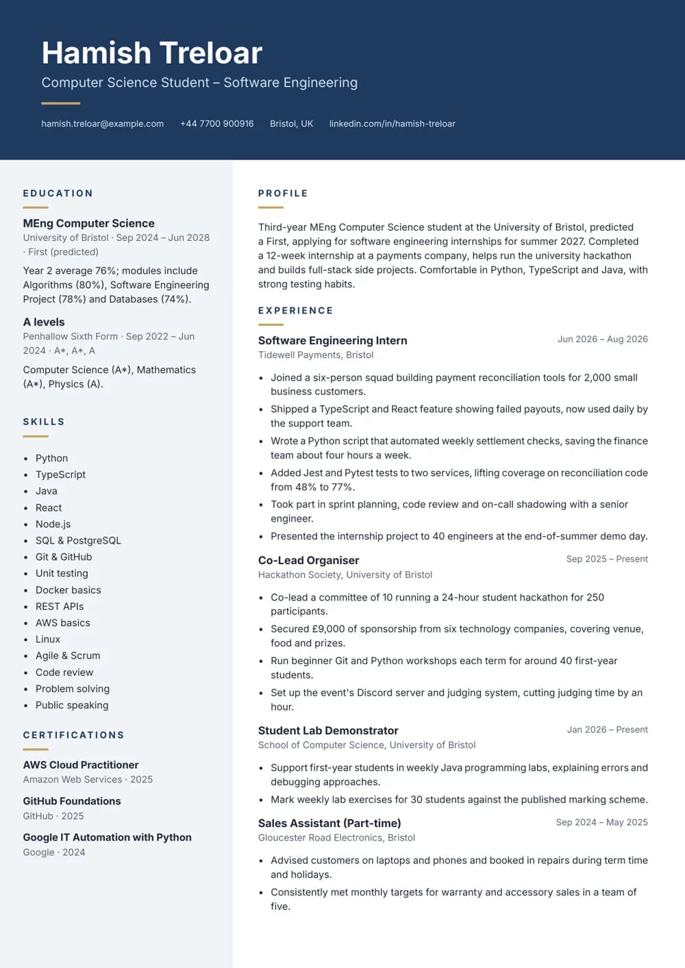 software internship cv template