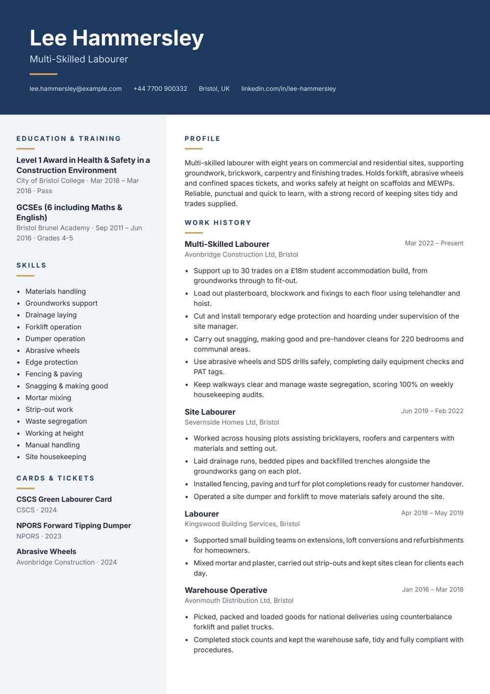 Multi-Skilled Labourer CV template