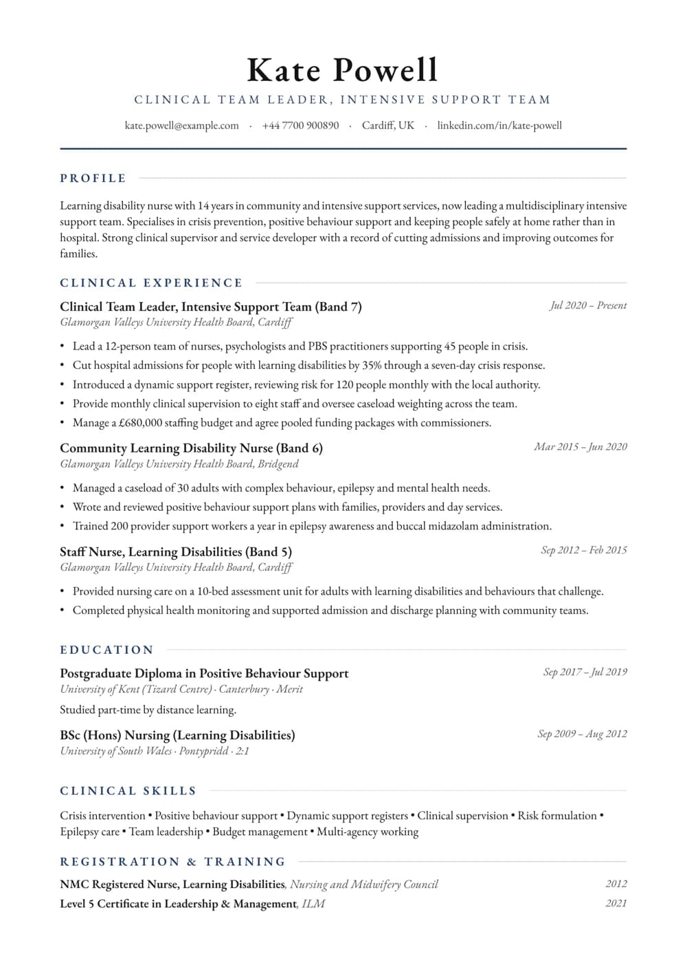 Intensive Support Team Leader CV template