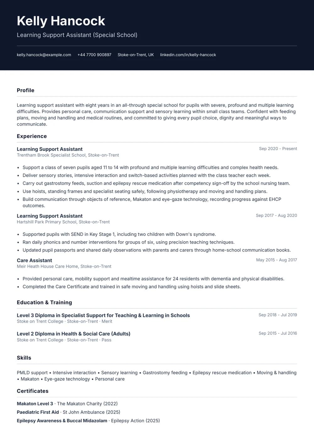 Special School Learning Support Assistant CV template