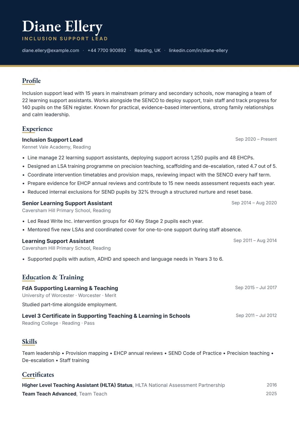 Inclusion Support Lead CV template