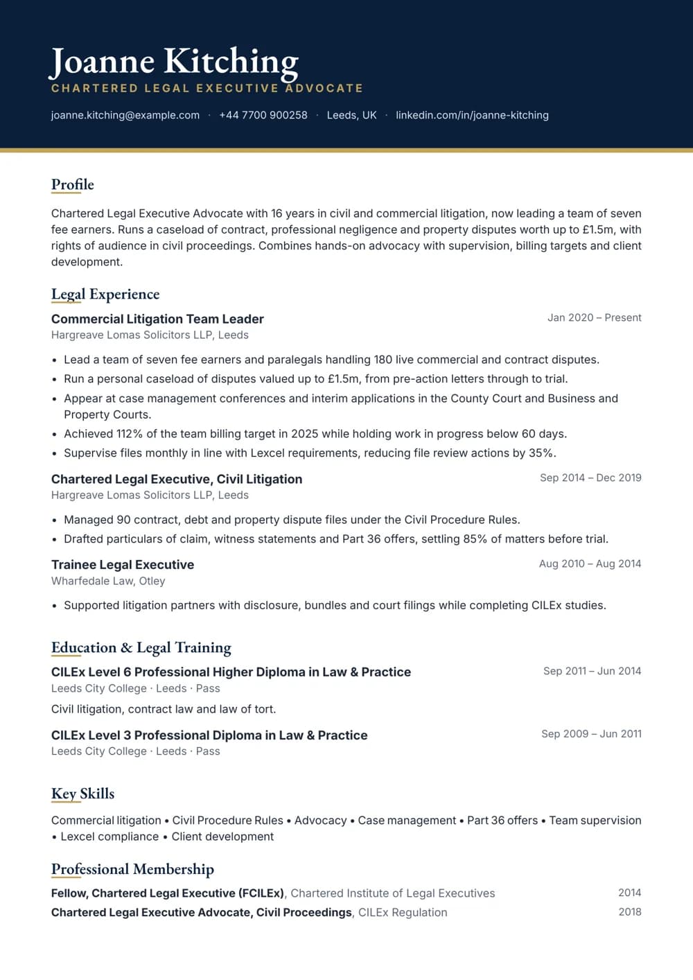 Litigation Team Leader CV template
