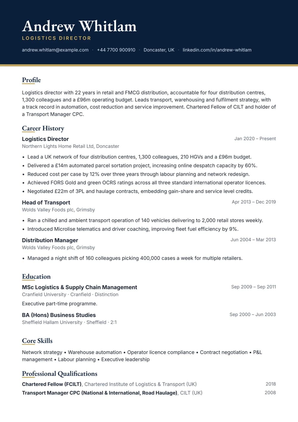 Logistics Director CV template