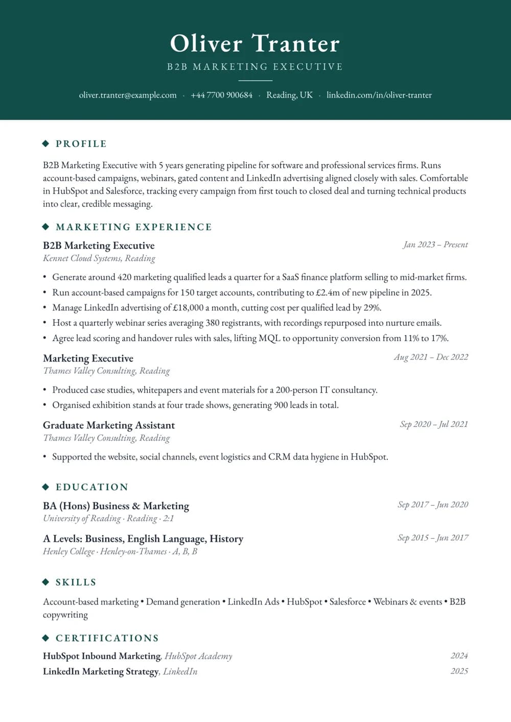 B2B Marketing Executive CV template