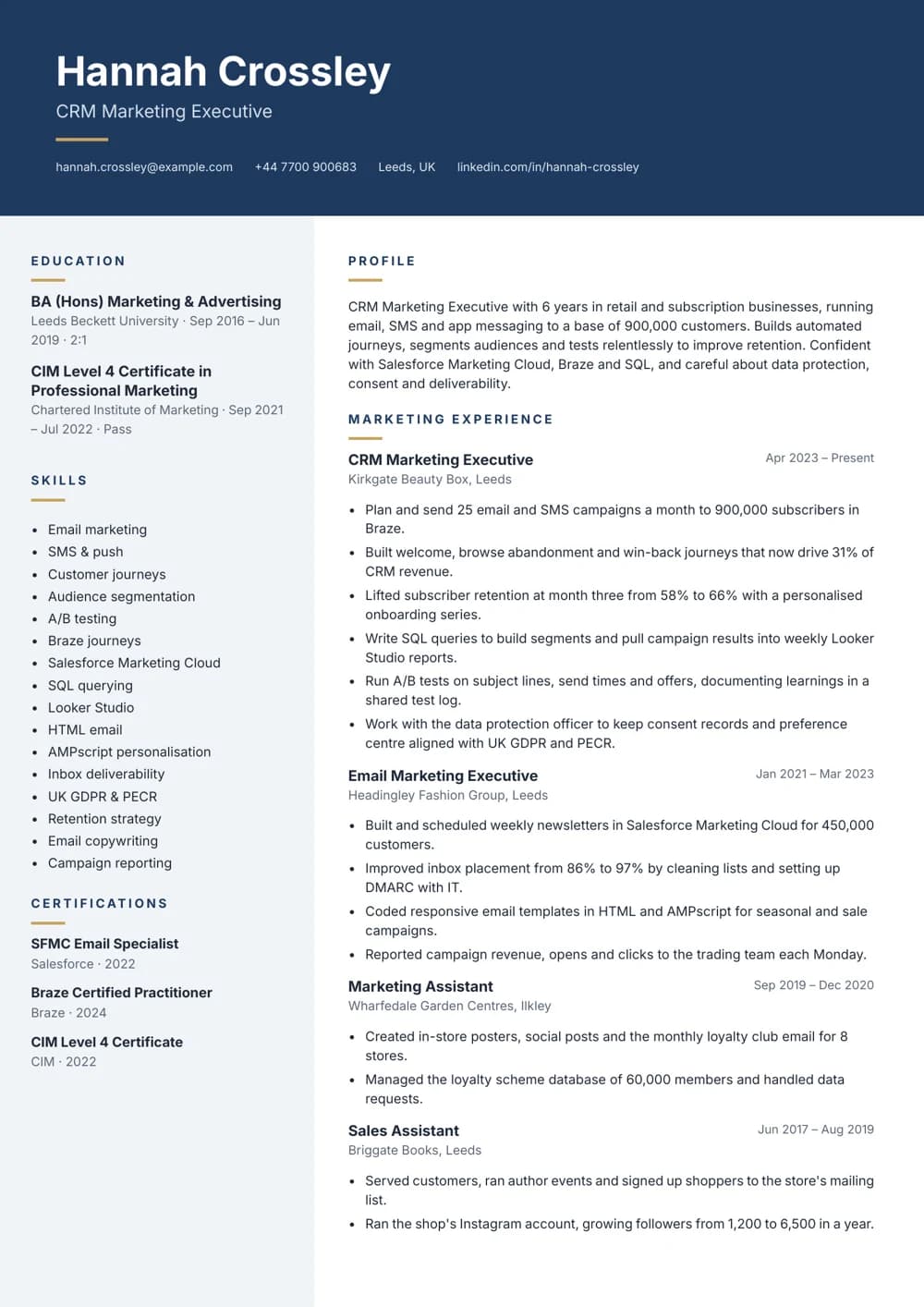 CRM Marketing Executive CV template
