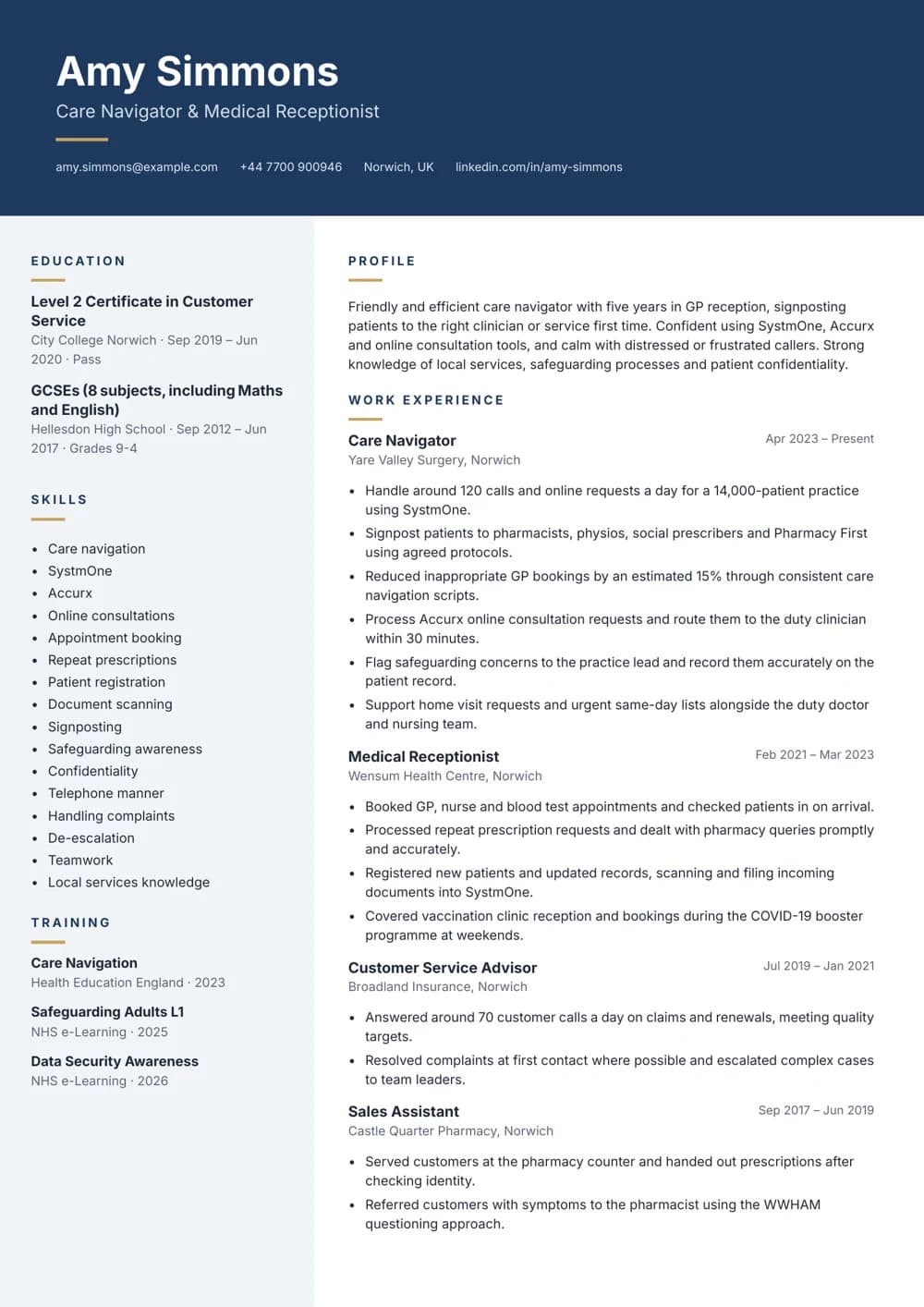 Care Navigator CV template