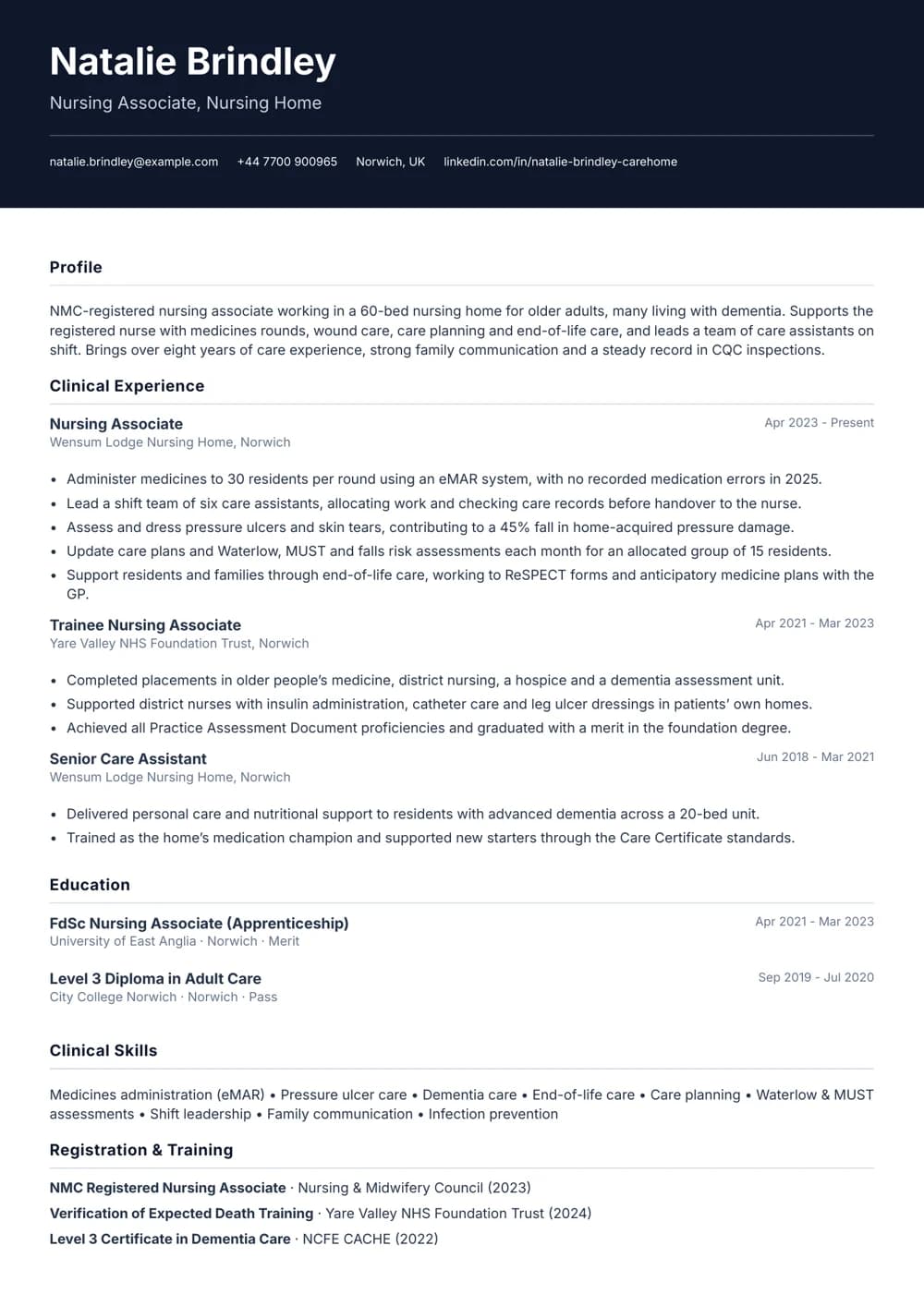 Care Home Nursing Associate CV template