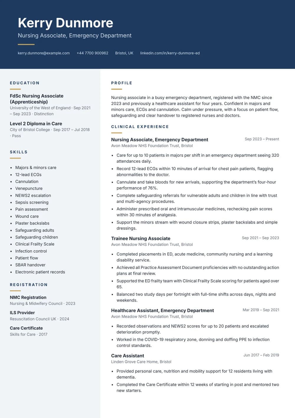 Emergency Department Nursing Associate CV template