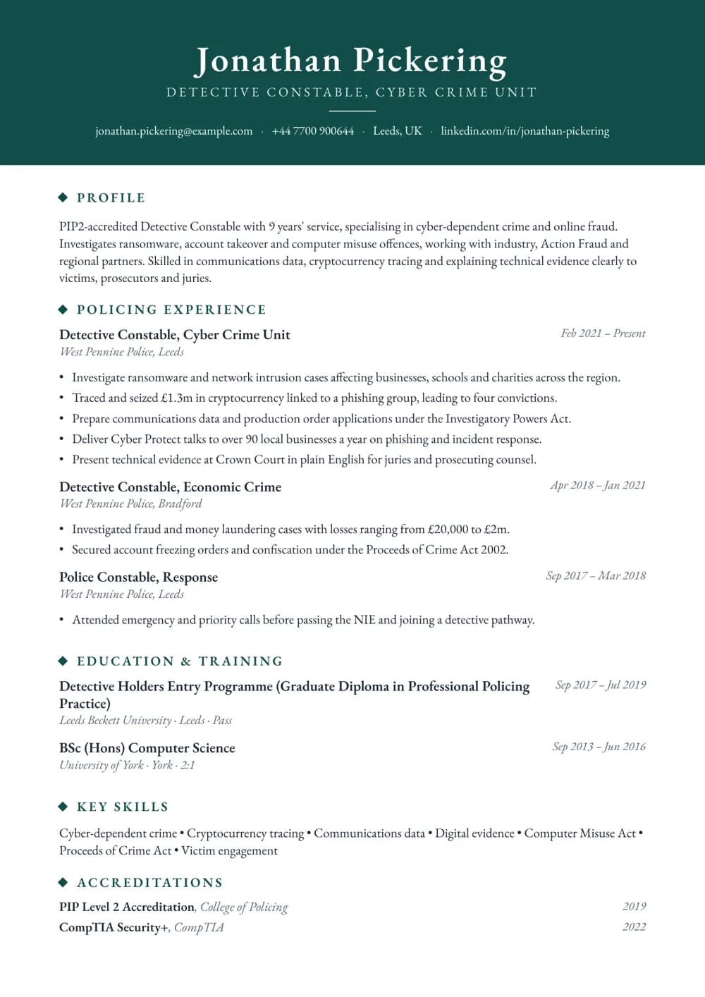 Cyber Crime Detective CV template