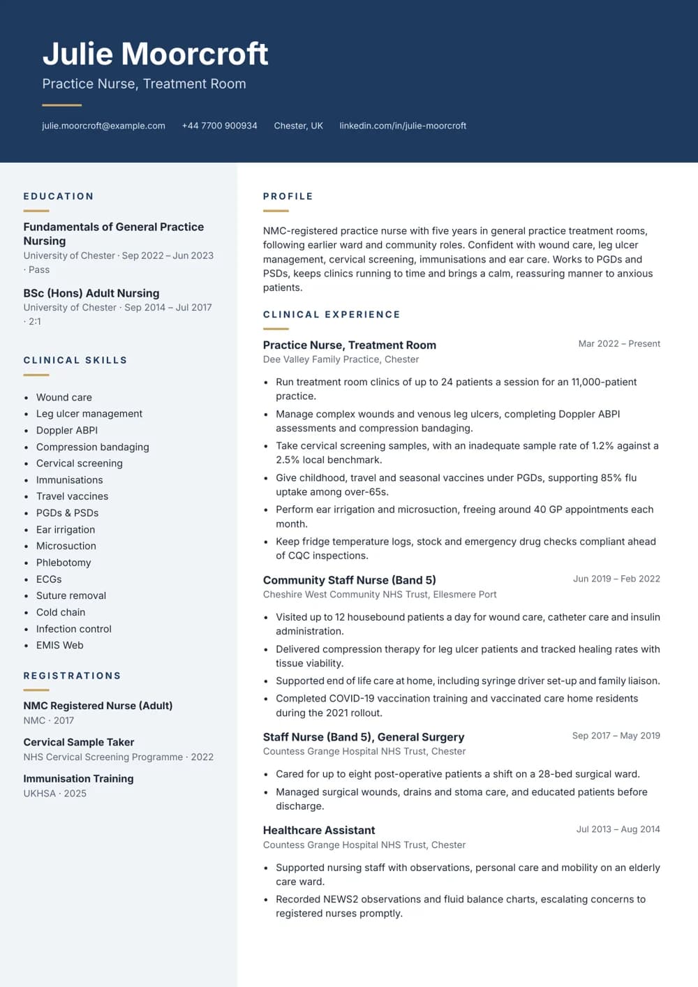 Treatment Room Nurse CV template