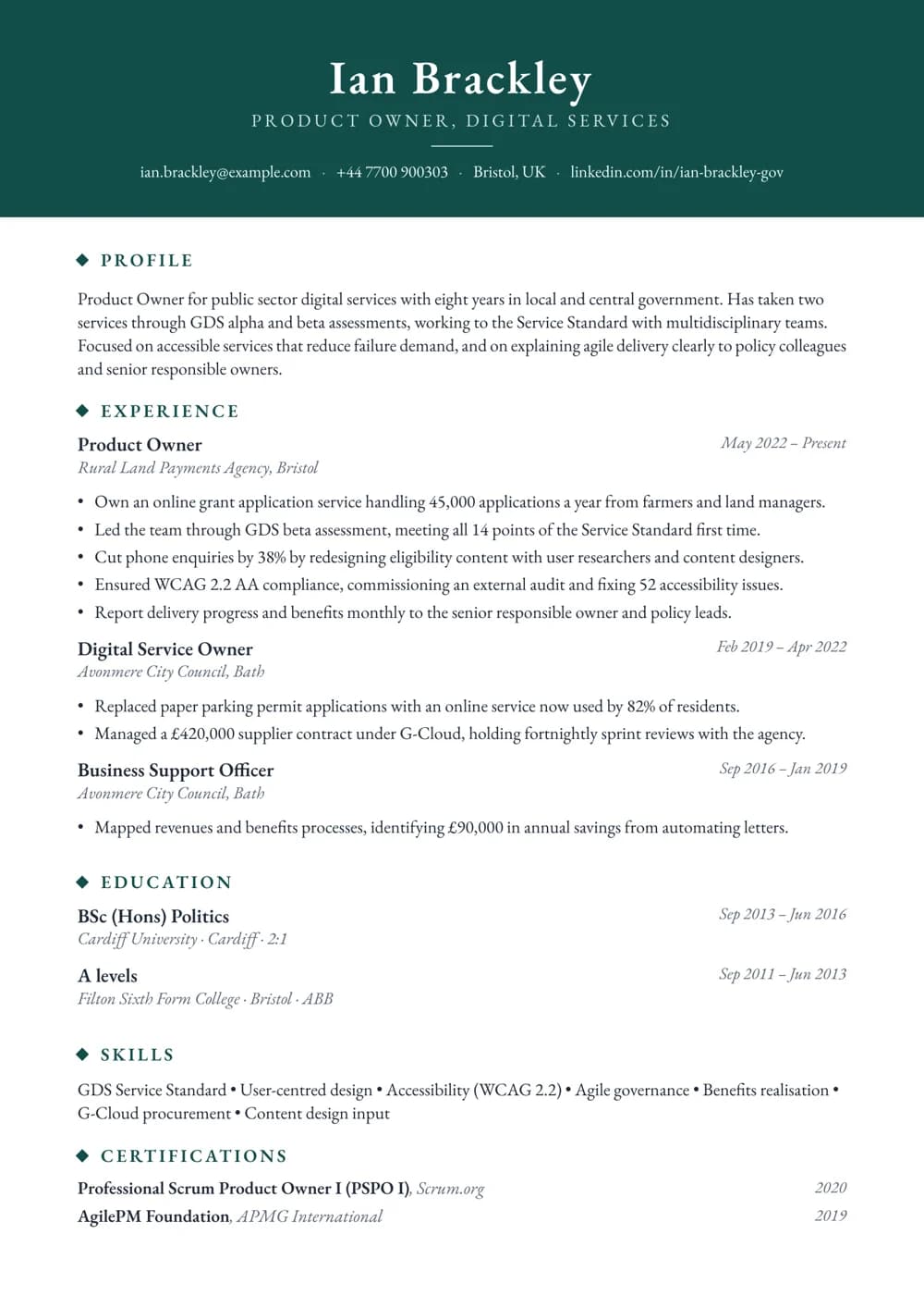 Public Sector Product Owner CV template