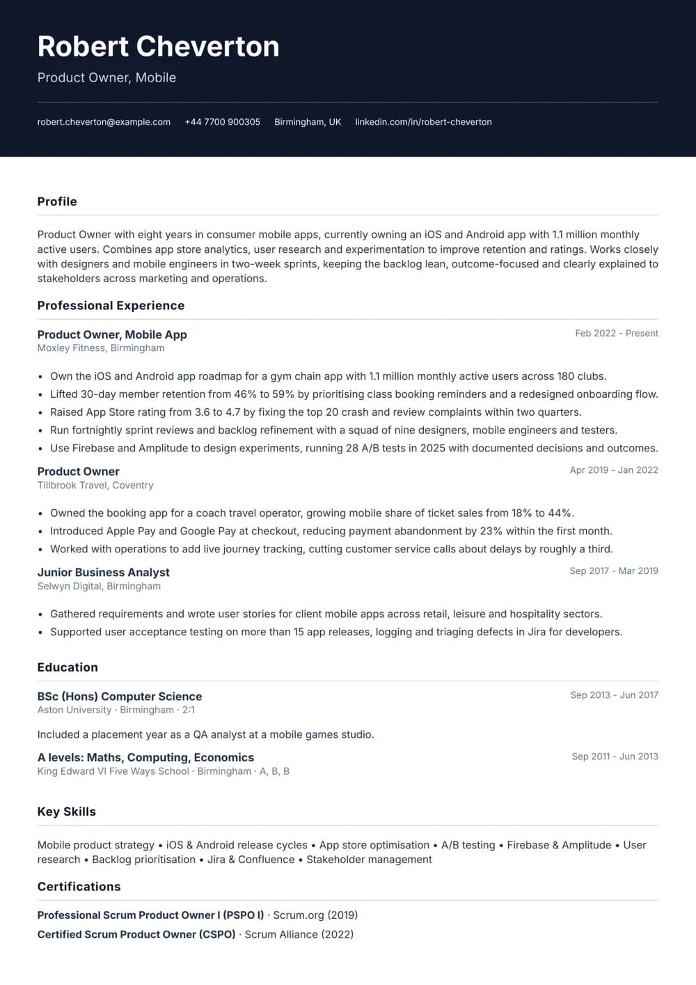 Mobile App Product Owner CV template