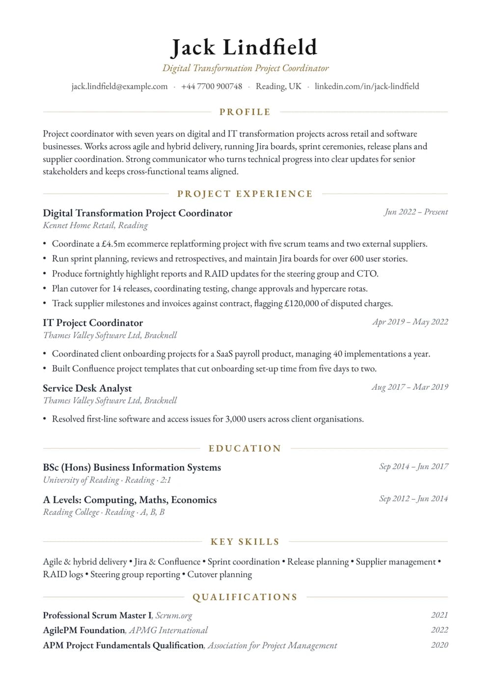 Digital Transformation Coordinator CV template